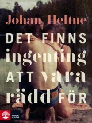 cover image of Det finns ingenting att vara